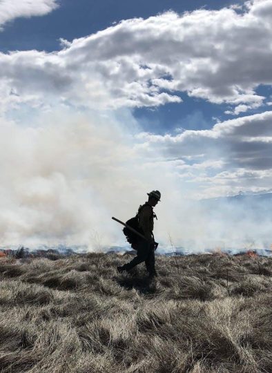 fire fighter in the field with smoke and fire