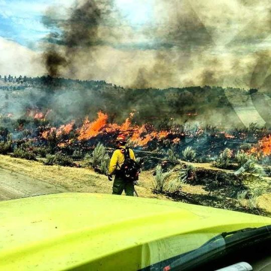 firefighter with fire in a field